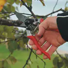 Promotional Kit: Felco 8 Pruning Shears + F-TECH Blade